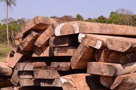 ξύλο, φυσικό ξύλο, δασοκομία, Δρυς, δέντρο, μασίφ ξύλο, ξύλινα