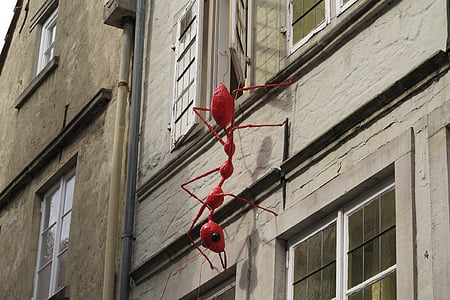 Bremen, Schnoor, fourmi, rouge, décoration de maison, insecte, animal