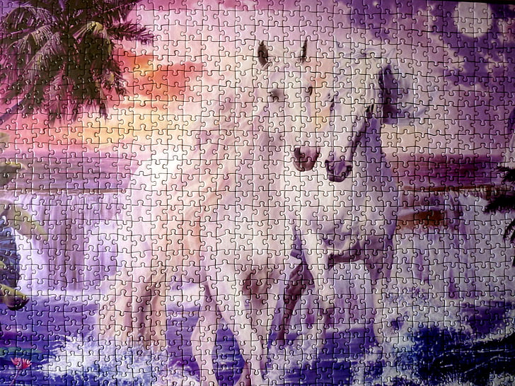 puzzle, konie