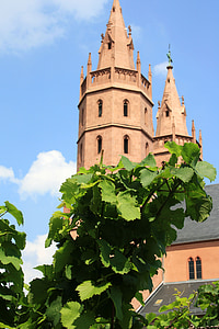 church of our lady, worms, church, grapevine, building, germany, religion