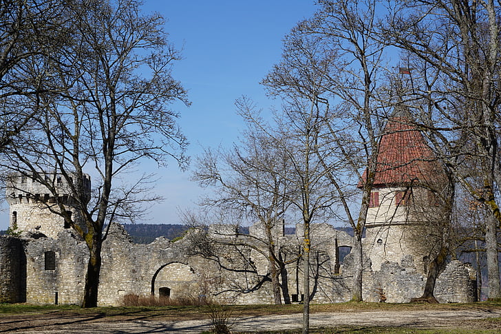 Ruine, Schloss, Park, Bäume, Honen Berg, Tuttlingen, Deutschland