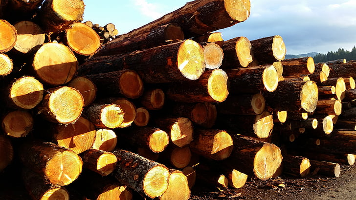 lumber, sky, wood, pile, timber, raw, material