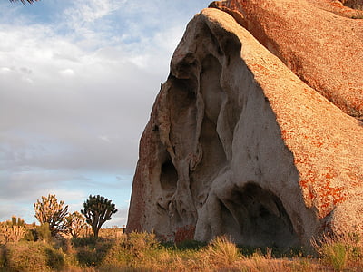 Príroda, skaly, Desert, vonku, Boulder, Joshua stromy, Cima dome