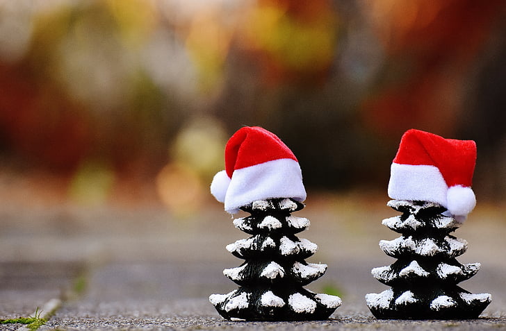 christmas, firs, trees, funny, santa hat, christmas time, snow