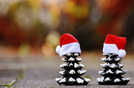 Natal, abetos, árvores, engraçado, chapéu de Papai Noel, tempo de Natal, neve