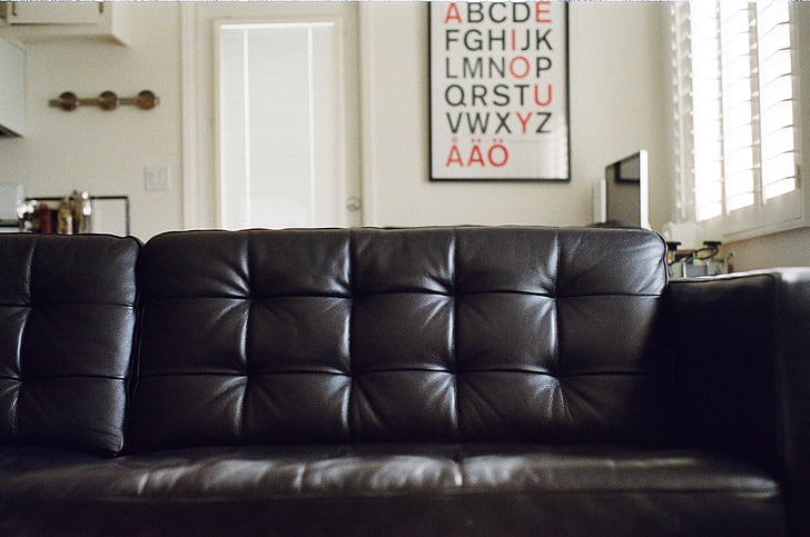couch, furniture, leather, sofa, living Room, indoors, comfortable