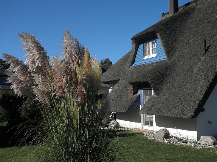 home, thatched roof, baltic sea, island of usedom, thatched, traditionally, architecture