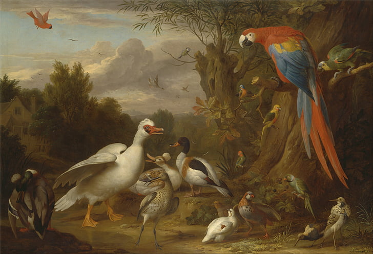 Jacob bogdani, Kunst, Malerei, Öl auf Leinwand, Enten, Natur, außerhalb