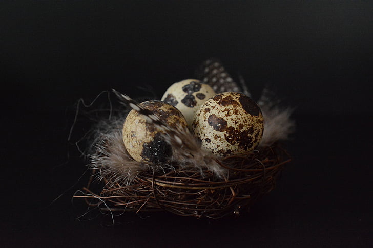 quail eggs, egg, easter decoration, easter, happy easter, glass, feather