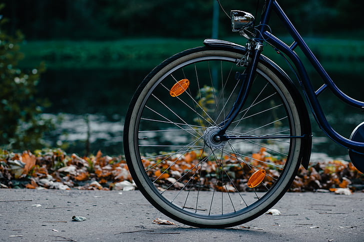 vélo, vélo, biker, Couleur, cycle, cycliste, l’automne