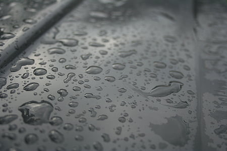 raindrops, watery, drip