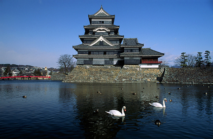 Château, Japon, Matsumoto, cygnes, eau, paysage, histoire