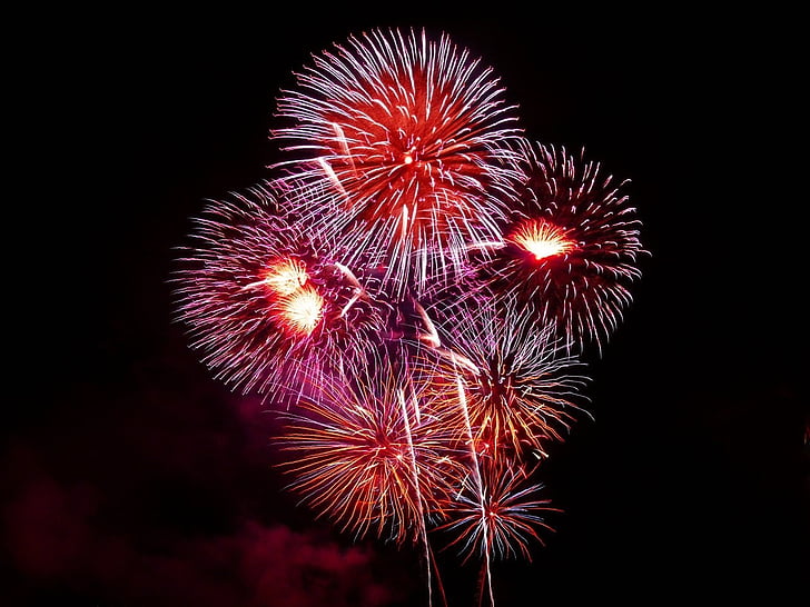 paars, rood, partij, vuurwerk, nachtelijke hemel, vuurwerk, firework - mens gemaakte object