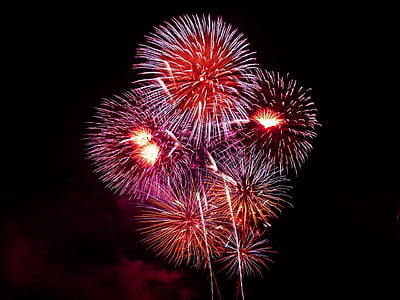 purple, red, party, Fireworks, night sky, firework display, firework - man made object