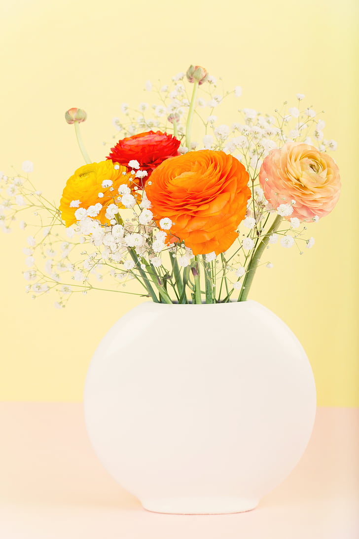 gėlės, gėlių vazos, vėdrynas, puokštė, oranžinė, pavasarį, žydėti