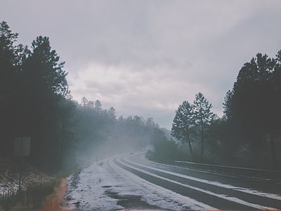 cloudy, foggy, forest, misty, road, sky, snow