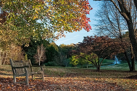 na podzim, Příroda, parku, sezóny, barevné, krajina, strom