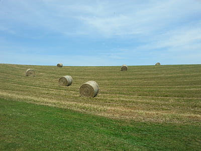 bale, straw, hay, field, farm, countryside, agricultural