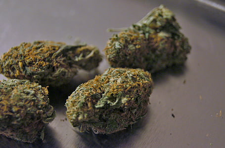 marijuana, green, kush, weed, cannabis, leaf, pot