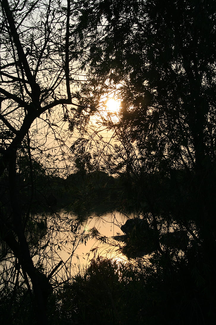 sunset over pond, pond, water, sunset, sun, reflection, trees