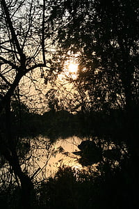 日落在池塘, 池塘, 水, 日落, 太阳, 反思, 树木