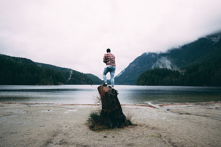 mand, stående, logget, træ, forsiden, havet, Mountain