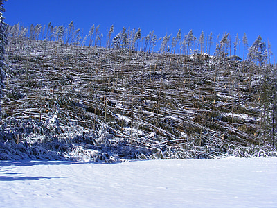Winter, Tatry, Polen, Kościeliska-Tal, Berge, Tatra-Gebirge im winter, Schnee