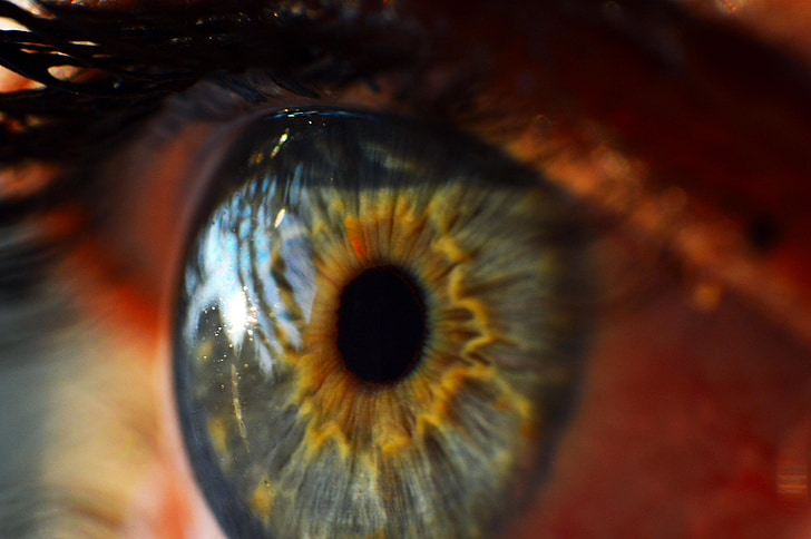 menschliche Auge, Iris, Makro, Blick, Hornhaut, Nahaufnahme, Vision