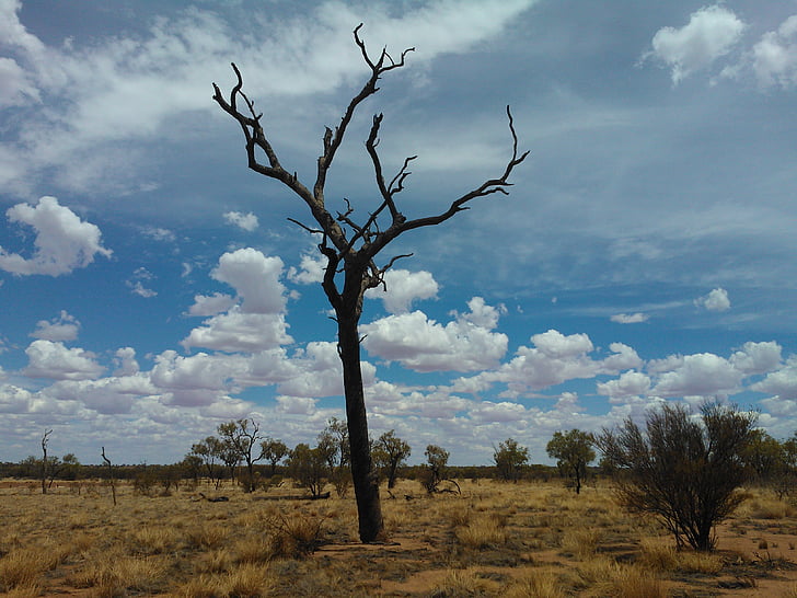Austrália, Bush, seca, deserto