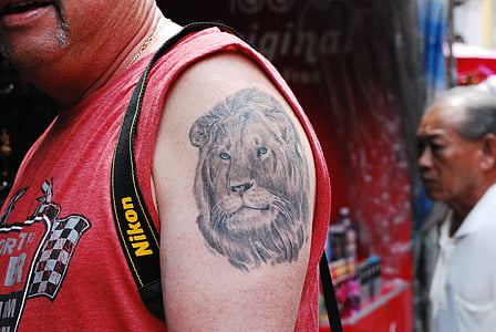 tatouage, Lion, conception, dessin, Tourisme, artistique, ornement