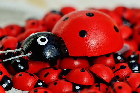 ladybug, wood, cute, lucky charm, points, close, beetle