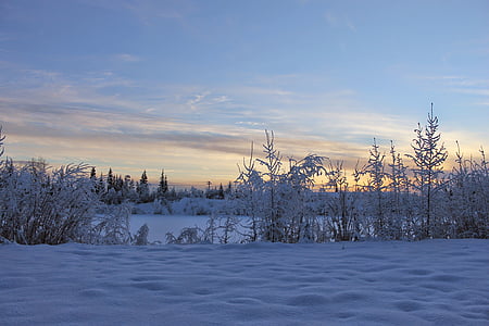 zamrznjeno jezero, pozimi, Alaska, sneg, hladno, jezero, zamrznjeni