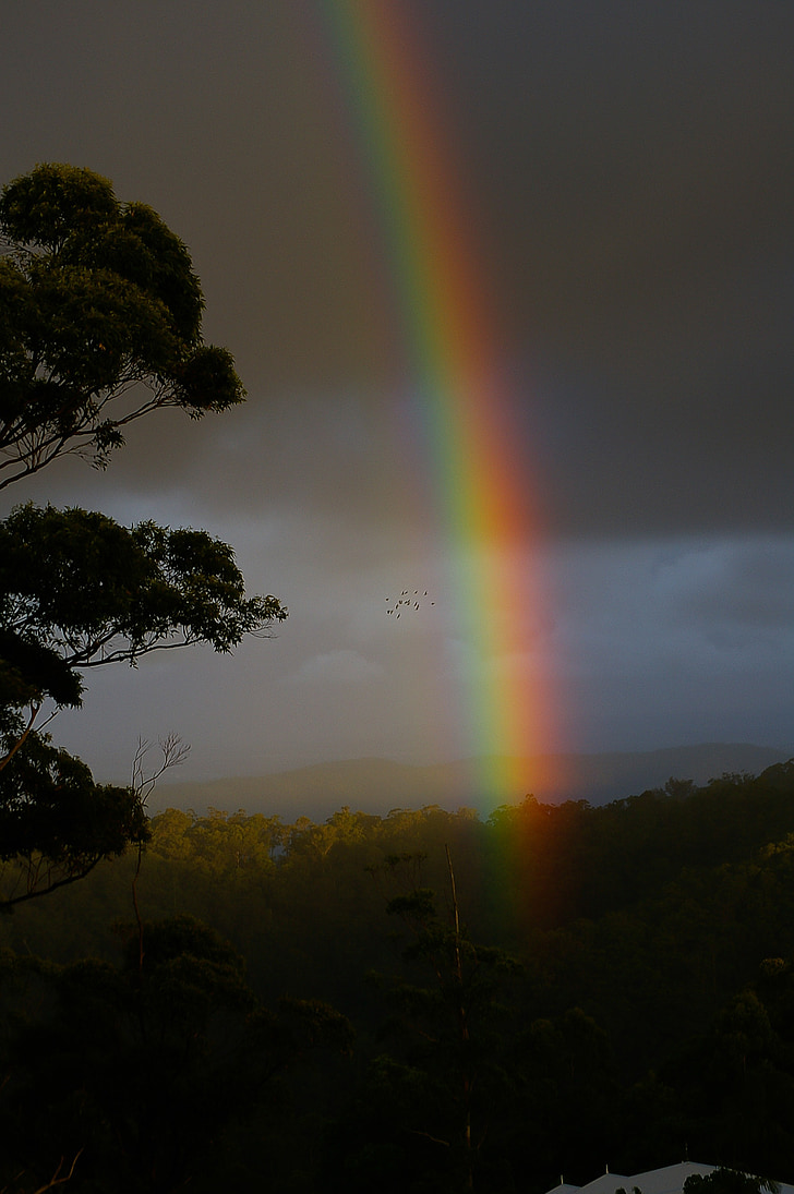 arcobaleno, cielo, cielo scuro, colori, drammatico, Australia, Gold coast
