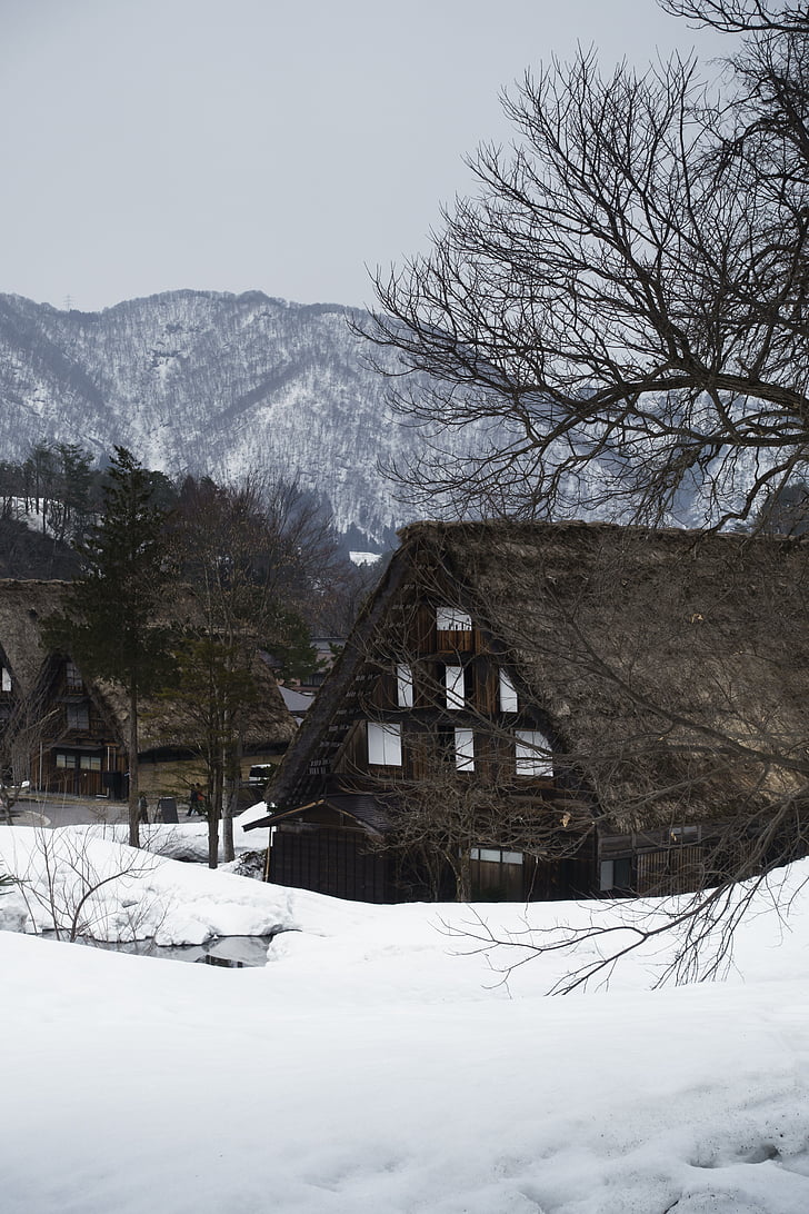 Japonska, stavbe, Gifu, japonski slog, potovanja, pozimi, sneg