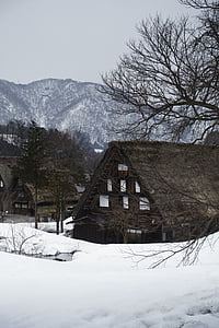 Japão, edifício, Gifu, estilo japonês, viagens, Inverno, neve