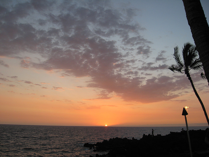 solnedgång, havet, Ocean, fackla, Palm tree, moln