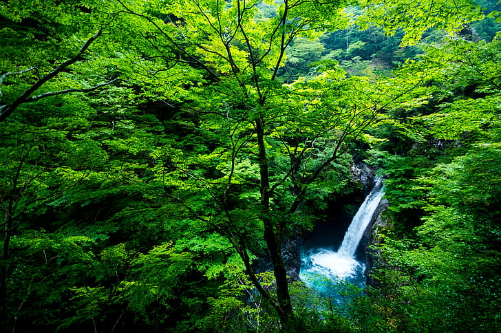 paisagem, Cachoeira, água, floresta, Japão, luz, fantástico