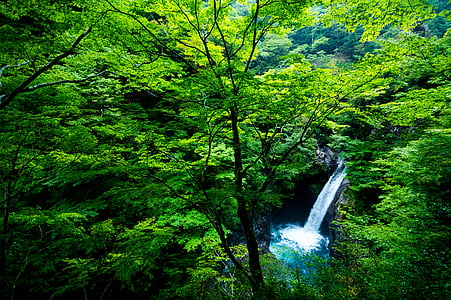 Landschaft, Wasserfall, Wasser, Wald, Japan, Licht, fantastische