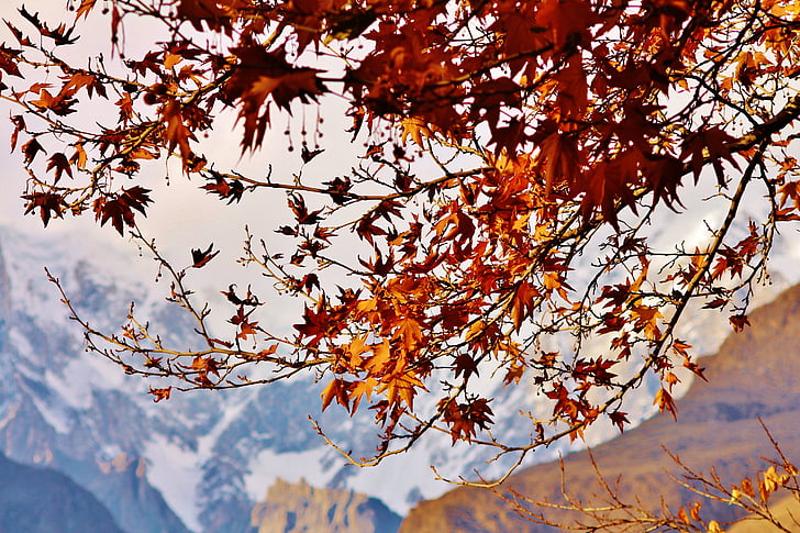 Gunung, musim gugur, indah, langit, Wisata, perjalanan, es