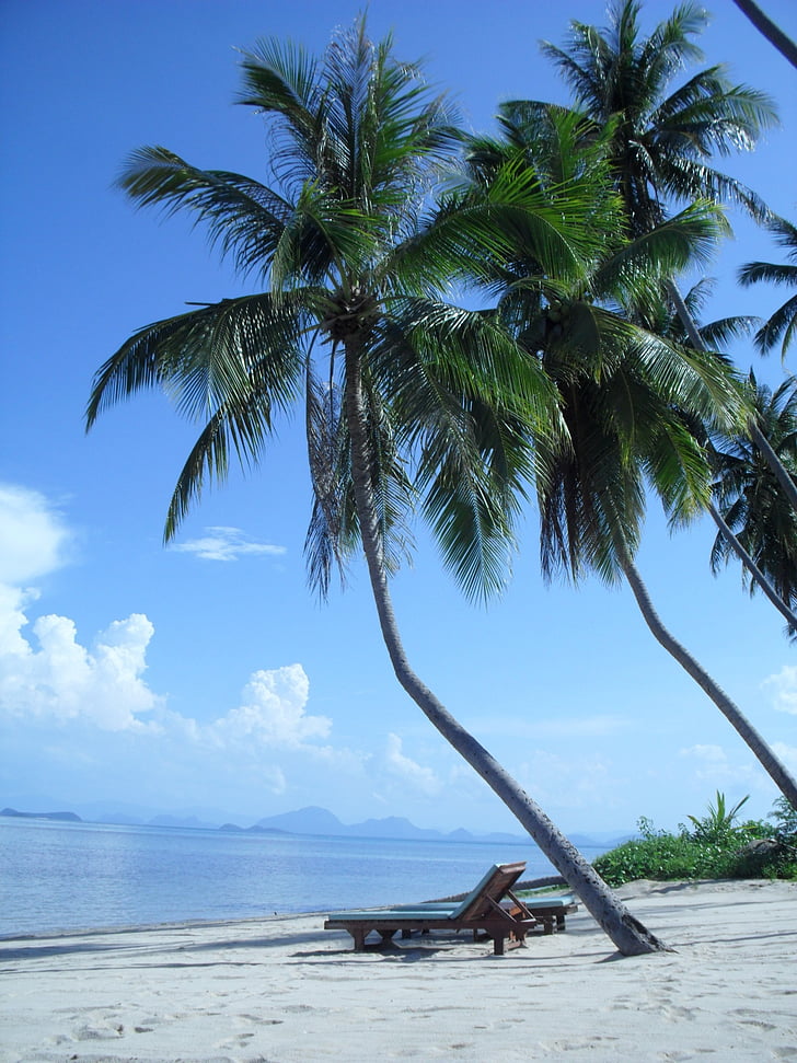 Strand, Meer, Urlaub, Palm, Sand, Sonne, Lounge-Sessel