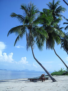 beach, sea, holidays, palm, sand, sun, lounge chairs