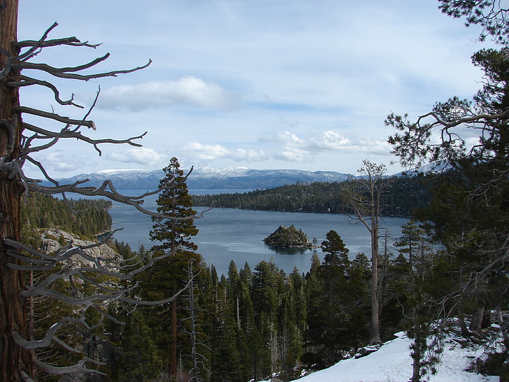 Lake tahoe, Tahoe, tó, víz, kék, fák, Sky