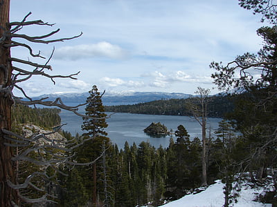 Lake tahoe, Tahoe, søen, vand, blå, træer, Sky