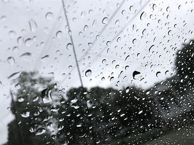 Ryd, glas, vand, dråber, dagtimerne, regner, regn