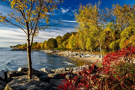 lago ontario, Canadá, HDR, caída, otoño, follaje, Costa