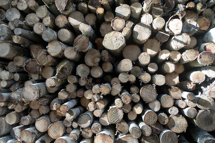 hout, Berk, brandhout, holzstapel, groeiende voorraad, hout, gestapeld
