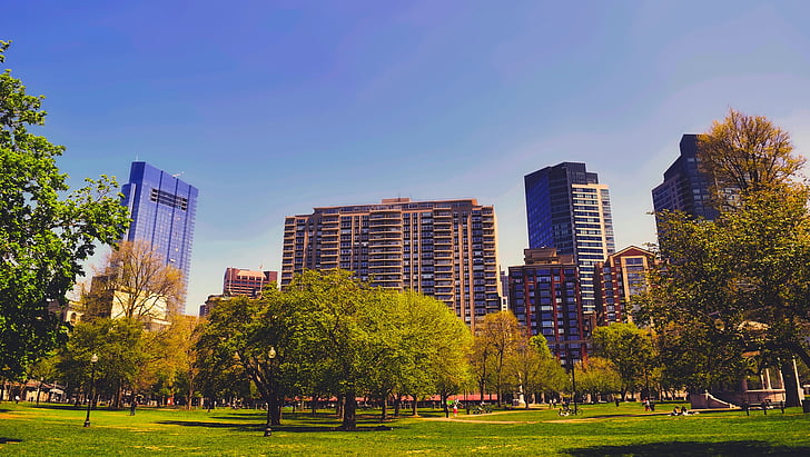 Boston, Massachusetts, città, urbano, edifici, paesaggio urbano, Parco pubblico