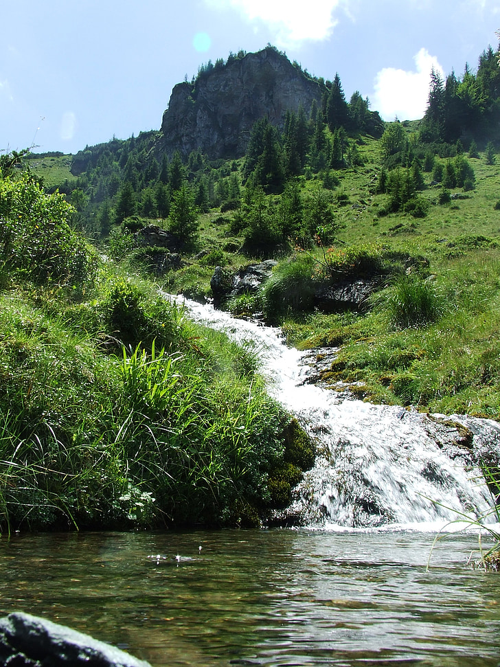 Ruscello di montagna, acqua, Carso, cascata, bagnato, sziklagyep alpino, prato alpino