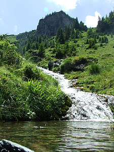 kalnų upelis, vandens, karsto, krioklys, šlapiame kelyje, Alpių sziklagyep, Alpinės pievos