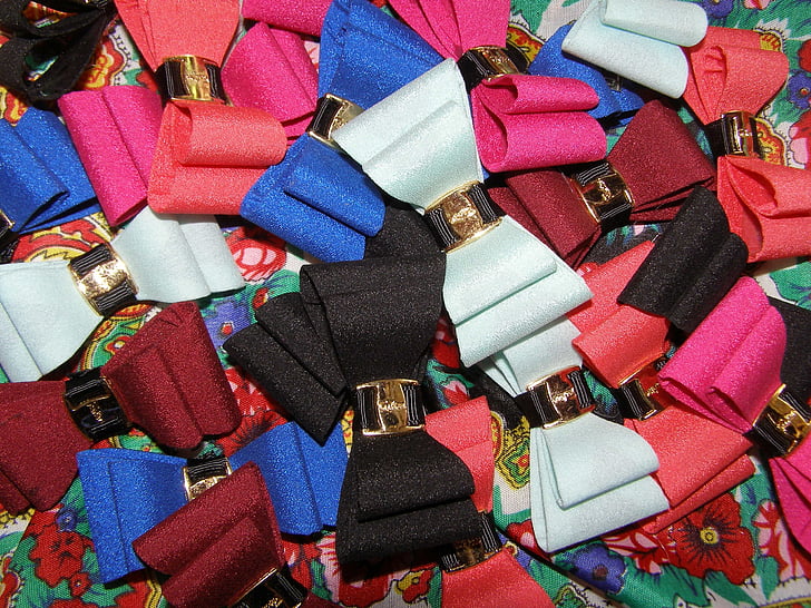 bows, colors, cufflinks, cockapoo